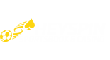 HeySpin Sport logo